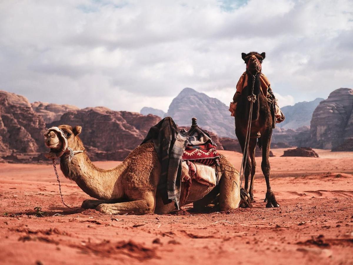 Wadi Rum Nights 外观 照片