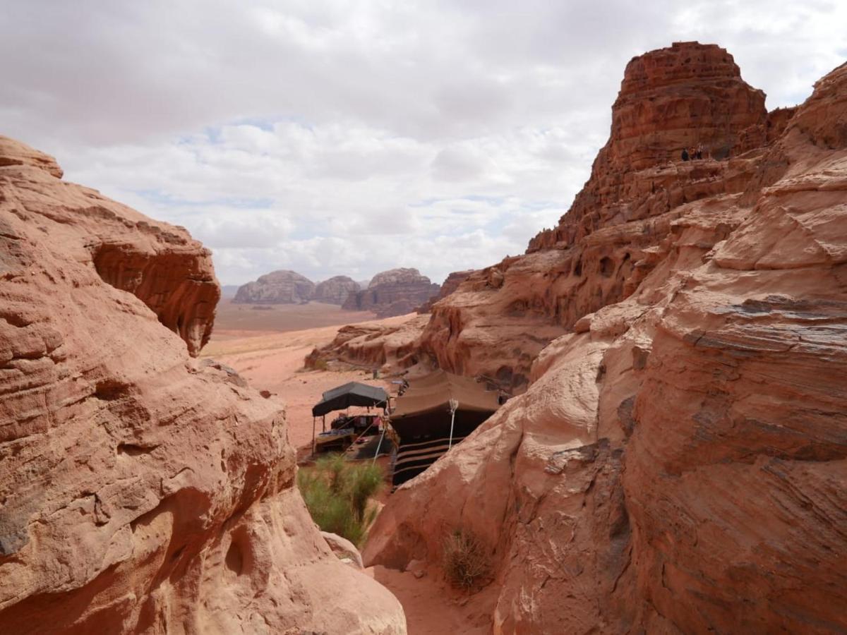Wadi Rum Nights 外观 照片