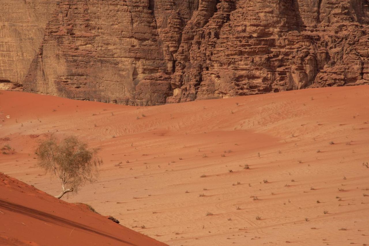 Wadi Rum Nights 外观 照片