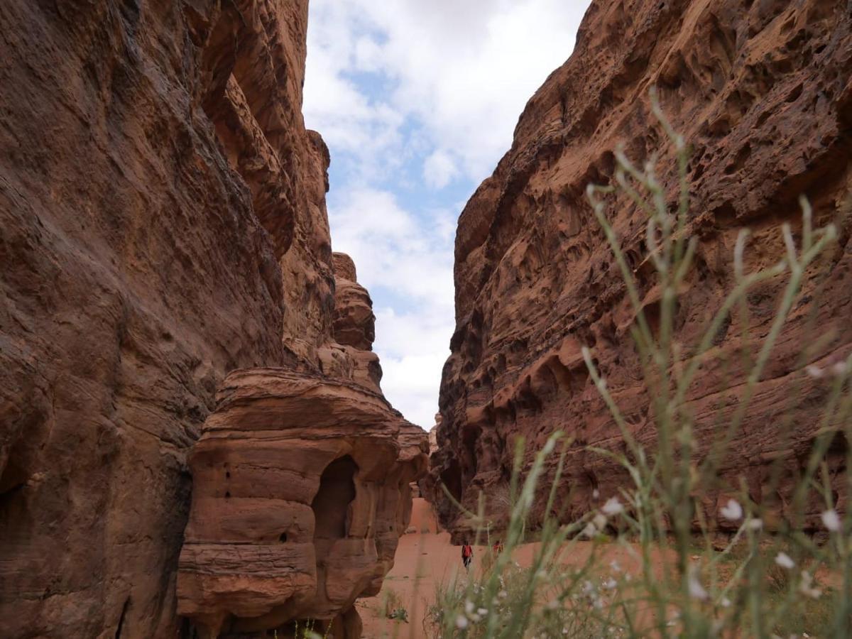 Wadi Rum Nights 外观 照片