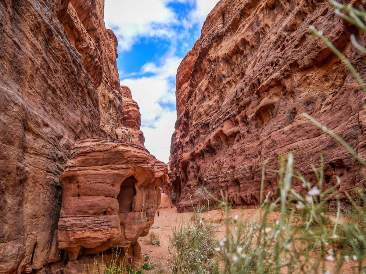 Wadi Rum Nights 外观 照片