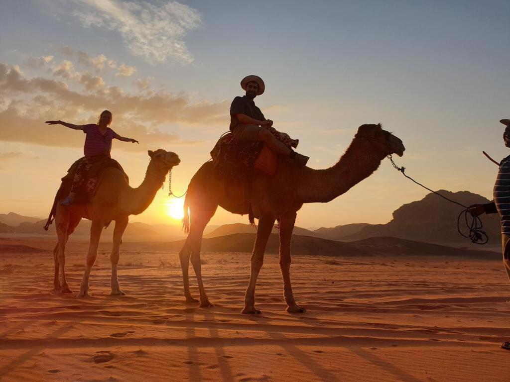 Wadi Rum Nights 外观 照片