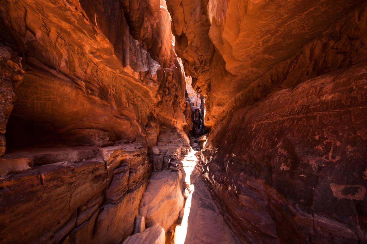 Wadi Rum Nights 外观 照片